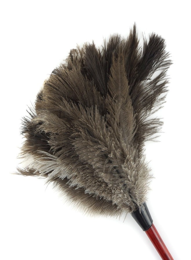 ZUCKER- Ostrich Feather Duster - Natural Ostrich Feathers with Wooden Handle - 24" - Image 1